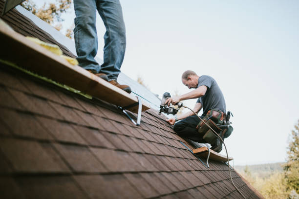 Gutter Installation and Roofing in Rural Hill, TN
