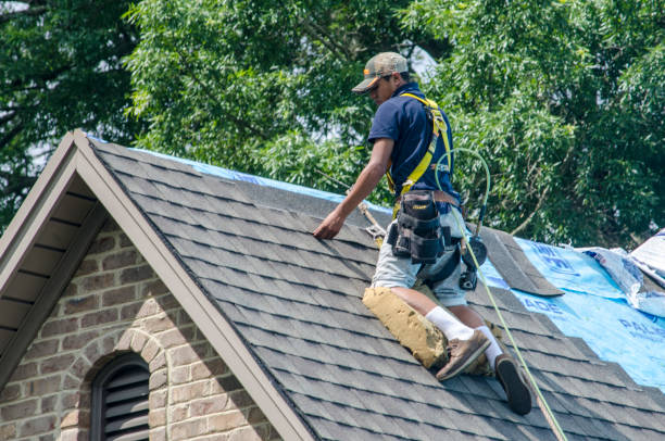 Best Roof Gutter Cleaning  in Rural Hill, TN